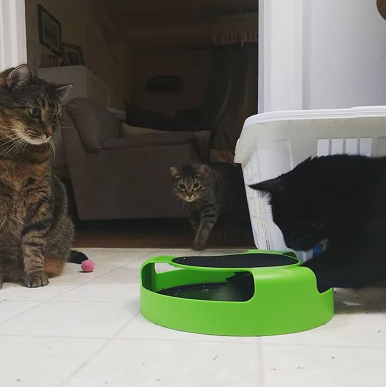 Interactive Cat Toy with Moving Mouse – Engaging Fun for Indoor Cats, Promotes Hunting Instincts, Durable ABS Plastic 5