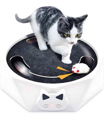 Interactive Cat Toy with Moving Mouse – Engaging Simulation for Active Cats, Best Cat Toy for Exercise and Entertainment 1