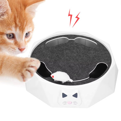 Interactive Cat Toy with Moving Mouse – Engaging Simulation for Active Cats, Best Cat Toy for Exercise and Entertainment 5