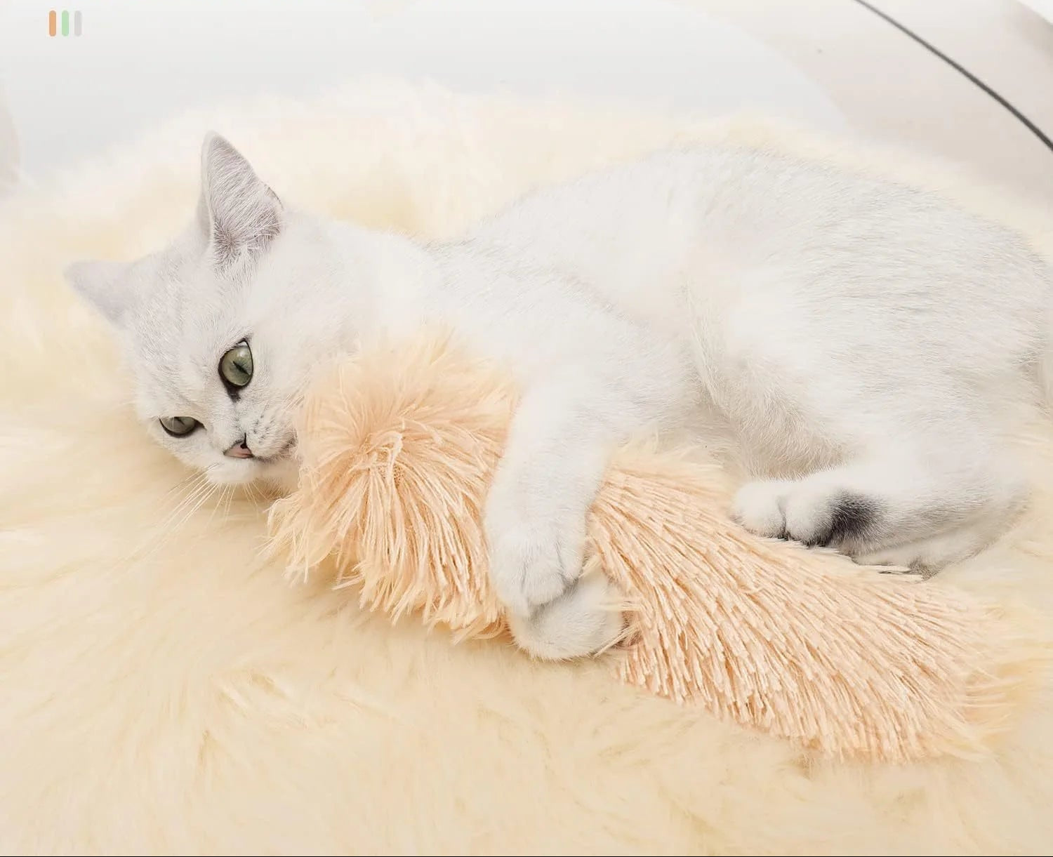 Interactive Catnip Toy Set – 4 Plush Cuddly Cats for Kittens and Adult Cats – Engaging Cat Accessories in Blue, White, Green, and Pink 4