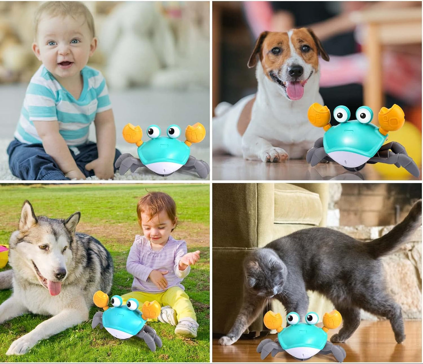 Interactive Crawling Crab Dog Toy – Engaging Play for All Breeds 5