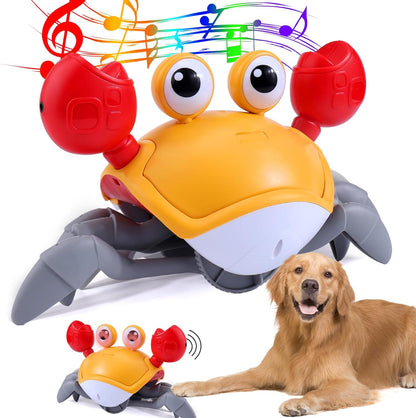 Interactive Crawling Crab Dog Toy – Engaging Play for All Breeds 6