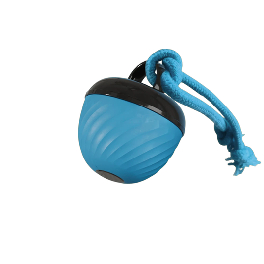 Interactive Dog Ball Toy for Puppies and Small Dogs – Automatic Moving USB Rechargeable Ball 0