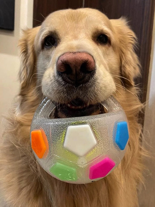 Interactive Dog Calming Ball with Handle - Bite-Resistant Squeaky Toy for Playful Dogs, 7 Floating Design 0