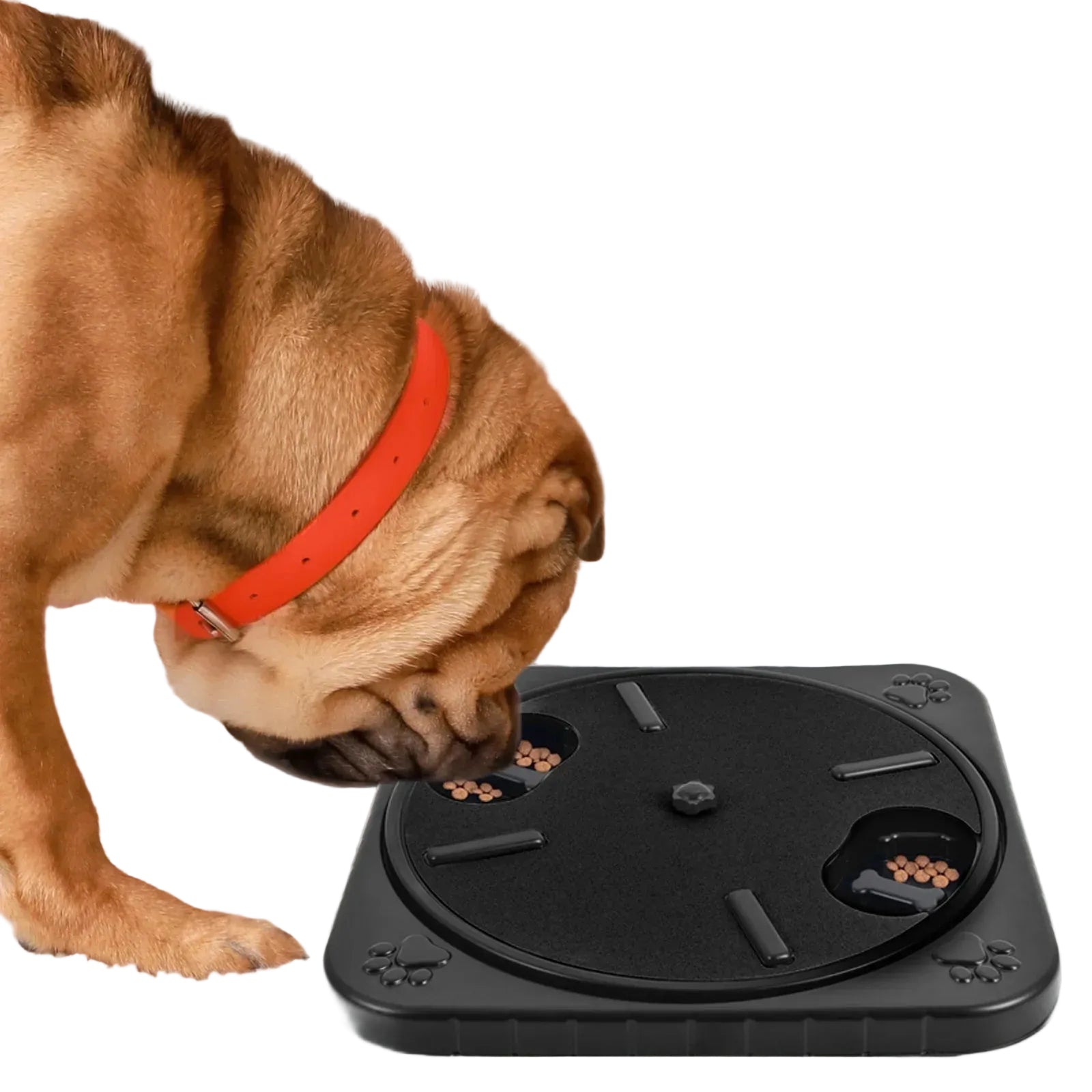 Interactive Dog Nail Care Tool with Rotating Scratching Board and Snack Compartments 4