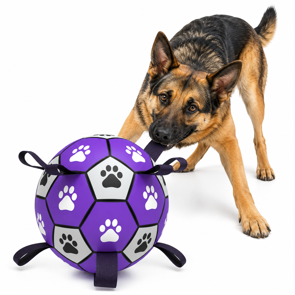 Interactive dog soccer ball featuring easy-grip straps, designed for active play and training, suitable for both indoor and outdoor use, made from durable materials for 1
