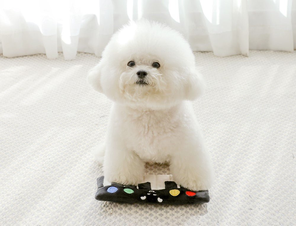 Interactive Dog Toy - Piano Hide and Seek Food Toy for Pets, Mind-Stimulating Play with Suction Cups, Durable Design, 25cm x 12cm 1