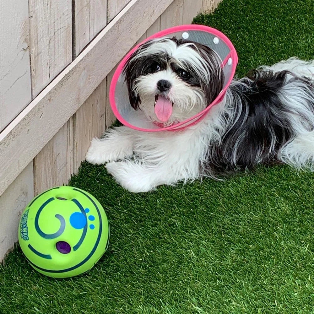 Interactive Dog Toy with Sounds and Movements – Durable Non-Toxic Chew-Resistant Toy for Active Play 4