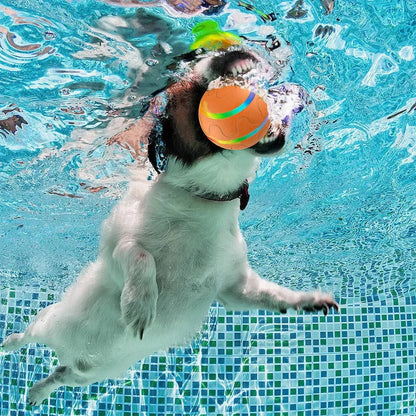 Interactive Dog and Cat Ball Toy with Remote Control – Waterproof, LED Light, and Intelligent Motion Sensors for Engaging Play 7