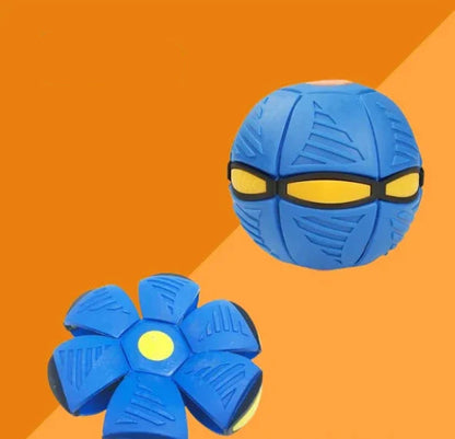 Interactive Doggy Disc Ball Toy for Dogs – Durable and Engaging Playtime Fun 0