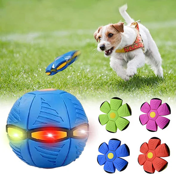 Interactive Doggy Disc Ball Toy for Dogs – Durable and Engaging Playtime Fun 1
