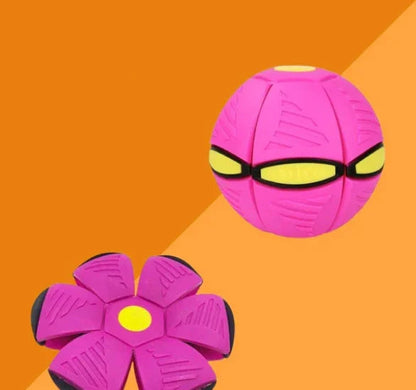 Interactive Doggy Disc Ball Toy for Dogs – Durable and Engaging Playtime Fun 16