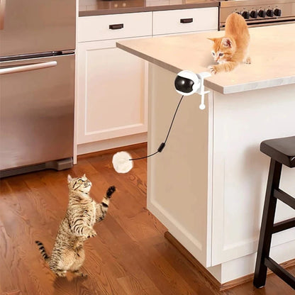 Interactive Electric Cat Toy with Lifting Ball – Best for Engaging Independent Play and Stimulating Hunting Instincts 3