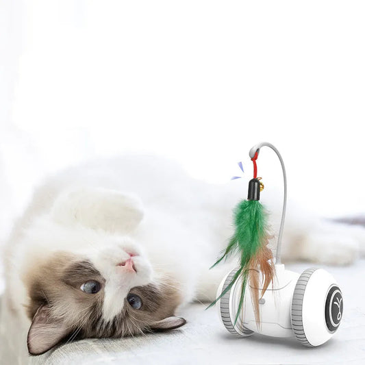 Interactive Feather Cat Toy with Lights and Sounds – Autonomous Robot for Indoor Play, Engaging and Stimulating for Cats 0