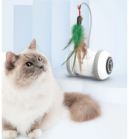 Interactive Feather Cat Toy with Lights and Sounds – Autonomous Robot for Indoor Play, Engaging and Stimulating for Cats 1