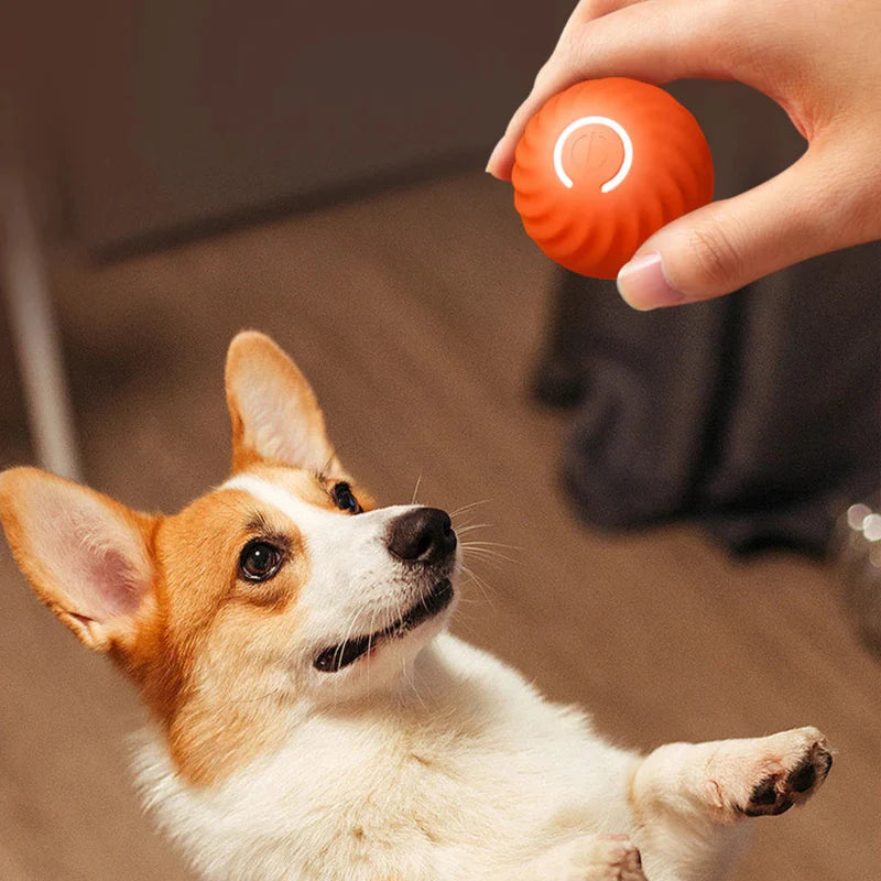Interactive LED Bouncing Ball for Dogs and Cats - Automatic Motion Pet Toy with Obstacle Avoidance and Visual Stimulation 1