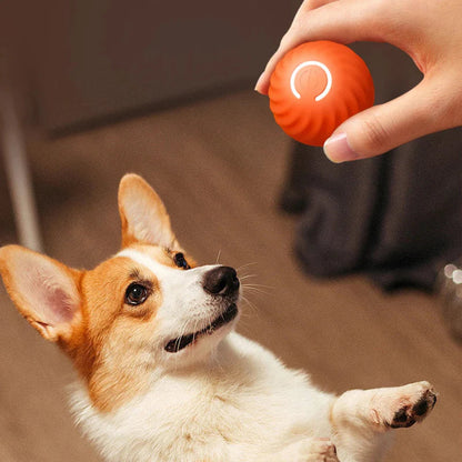 Interactive LED Bouncing Ball for Dogs and Cats - Automatic Motion Pet Toy with Obstacle Avoidance and Visual Stimulation 1