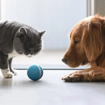Interactive Motion Ball Toy for Dogs and Cats – Rechargeable Pet Toy with Waterproof Design and Multiple Response Modes 3