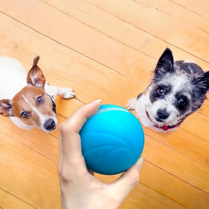 Interactive Motion Ball Toy for Dogs and Cats – Rechargeable Pet Toy with Waterproof Design and Multiple Response Modes 4