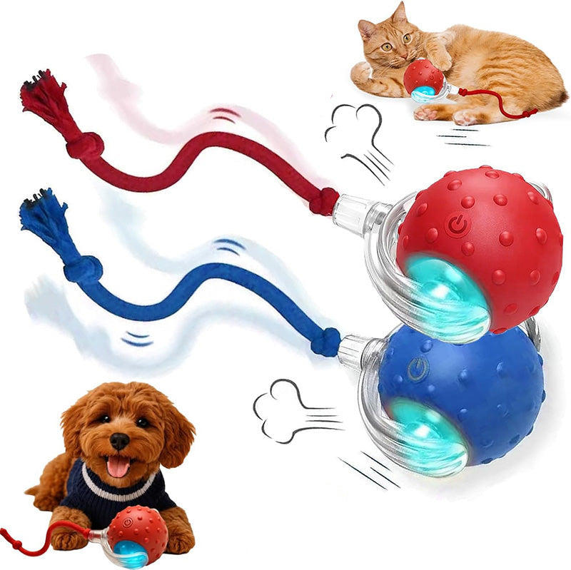 Interactive Motion Dog Toy – Self-Rolling Ball for Engaging Play and Exercise 1