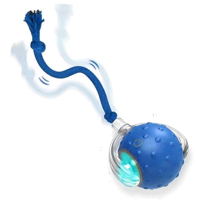 Interactive Motion Dog Toy – Self-Rolling Ball for Engaging Play and Exercise 7