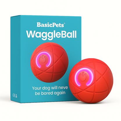 Interactive Pet Toy Ball with Jumping Motion and Glowing Lights – Rechargeable Dog and Cat Toy for Indoor Fun 4