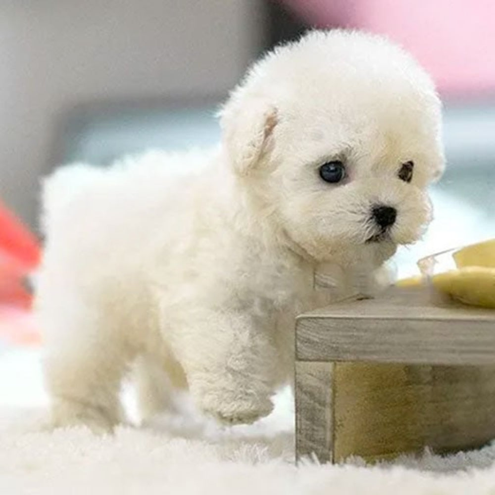 Interactive plush puppy toy featuring gentle movement and sound, designed for imaginative play as a soft companion for children. 1