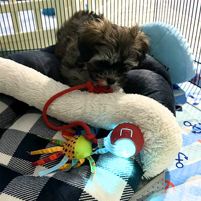 Interactive Rolling Ball Toy for Dogs and Cats – Engaging Pet Toy with 3 Play Modes to Keep Pets Active and Entertained 4