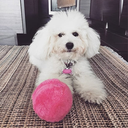 Interactive Rolling Dog Toy with Colorful Covers – Engaging Anti-Anxiety Ball for Small to Large Dogs 1