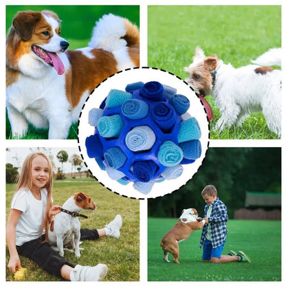 Interactive Snuffle Ball Dog Toy – Colorful Mental Stimulation and Training Aid for Dogs and Puppies 4