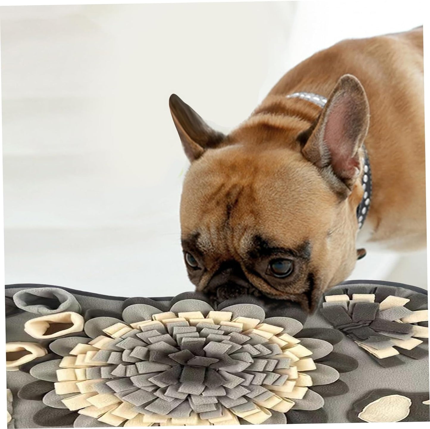 Interactive Snuffle Mat for Dogs – Nosework Training and Mental Stimulation, 64x43cm, Durable Polyester Fiber 1