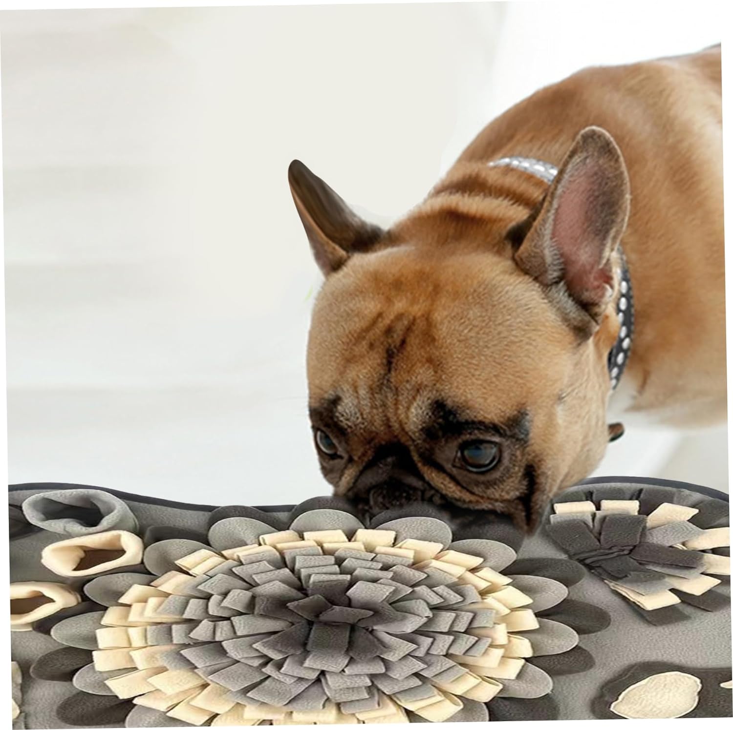 Interactive Snuffle Mat for Dogs – Nosework Training and Mental Stimulation, 64x43cm, Durable Polyester Fiber 1