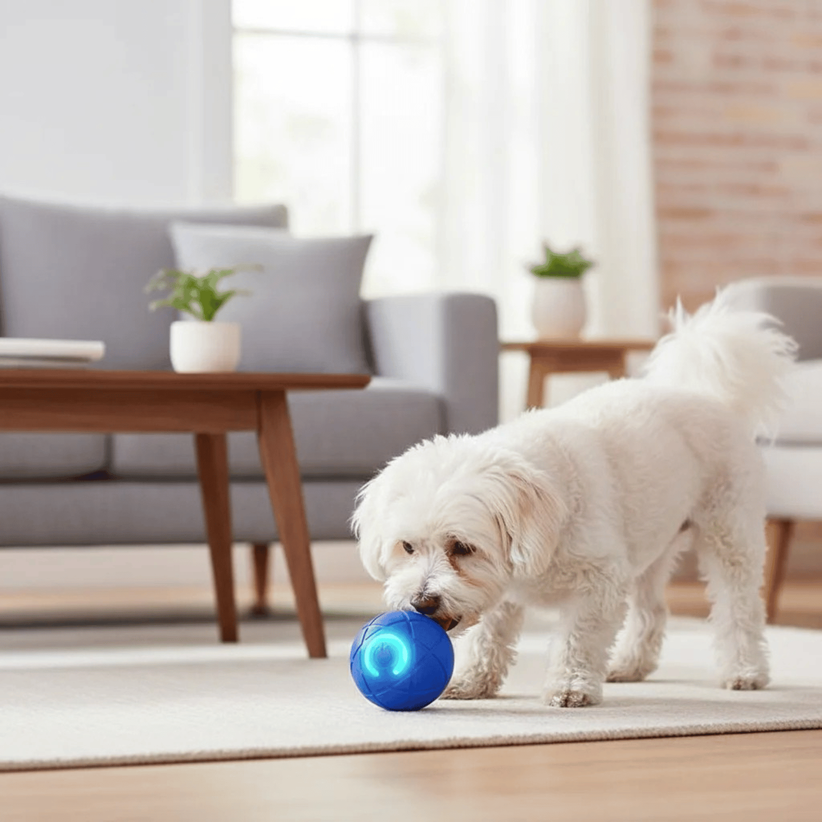 Interactive Vibrating Dog Toy with LED Lights and Smart Touch Activation - Durable, Rechargeable, Compact Design 2