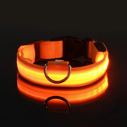 LED Dog Collar - Adjustable USB Rechargeable Safety Collar with Multiple Light Modes for Enhanced Nighttime Visibility 10