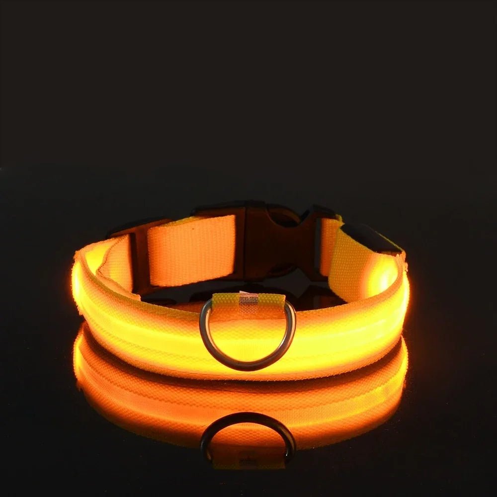 LED Dog Collar - Adjustable USB Rechargeable Safety Collar with Multiple Light Modes for Enhanced Nighttime Visibility 11
