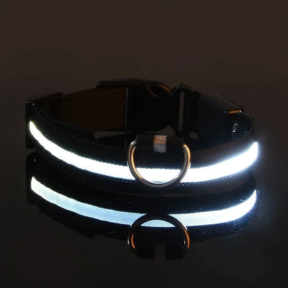 LED Dog Collar - Adjustable USB Rechargeable Safety Collar with Multiple Light Modes for Enhanced Nighttime Visibility 5