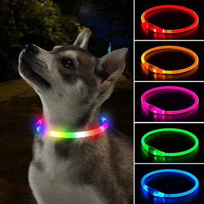 LED Dog Collar – Adjustable 360-Degree Glow Safety Collar with USB Rechargeable Light for Night Walks 1
