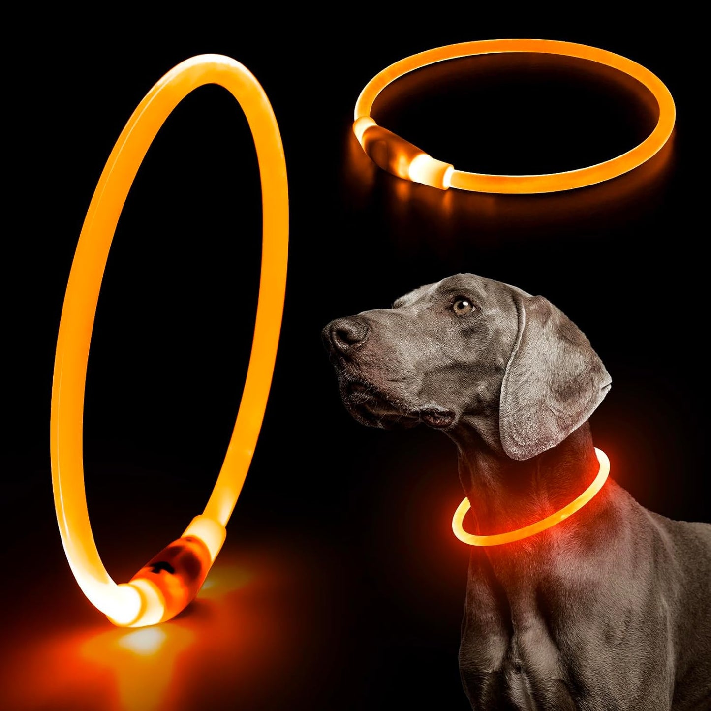 LED Dog Collar – Adjustable 360-Degree Glow Safety Collar with USB Rechargeable Light for Night Walks 12