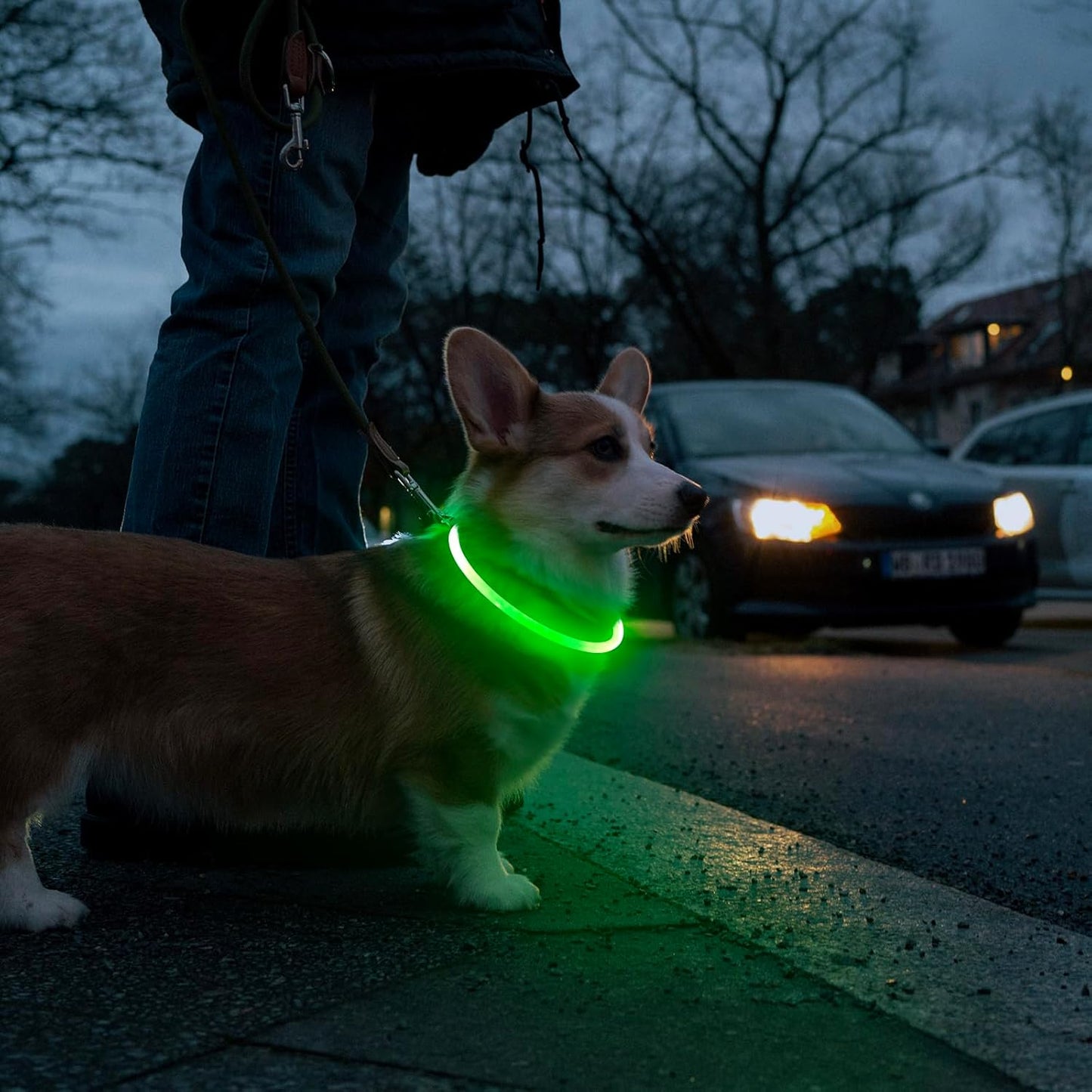 LED Dog Collar – Adjustable 360-Degree Glow Safety Collar with USB Rechargeable Light for Night Walks 4
