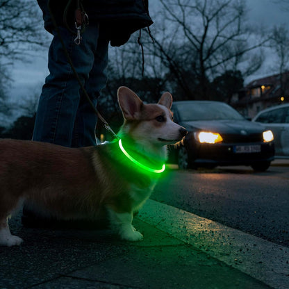 LED Dog Collar – Adjustable 360-Degree Glow Safety Collar with USB Rechargeable Light for Night Walks 4