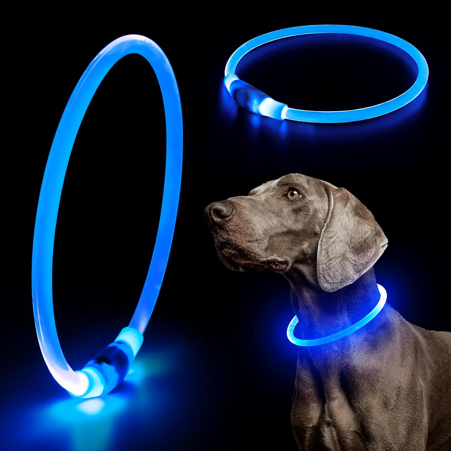 LED Dog Collar – Adjustable 360-Degree Glow Safety Collar with USB Rechargeable Light for Night Walks 9