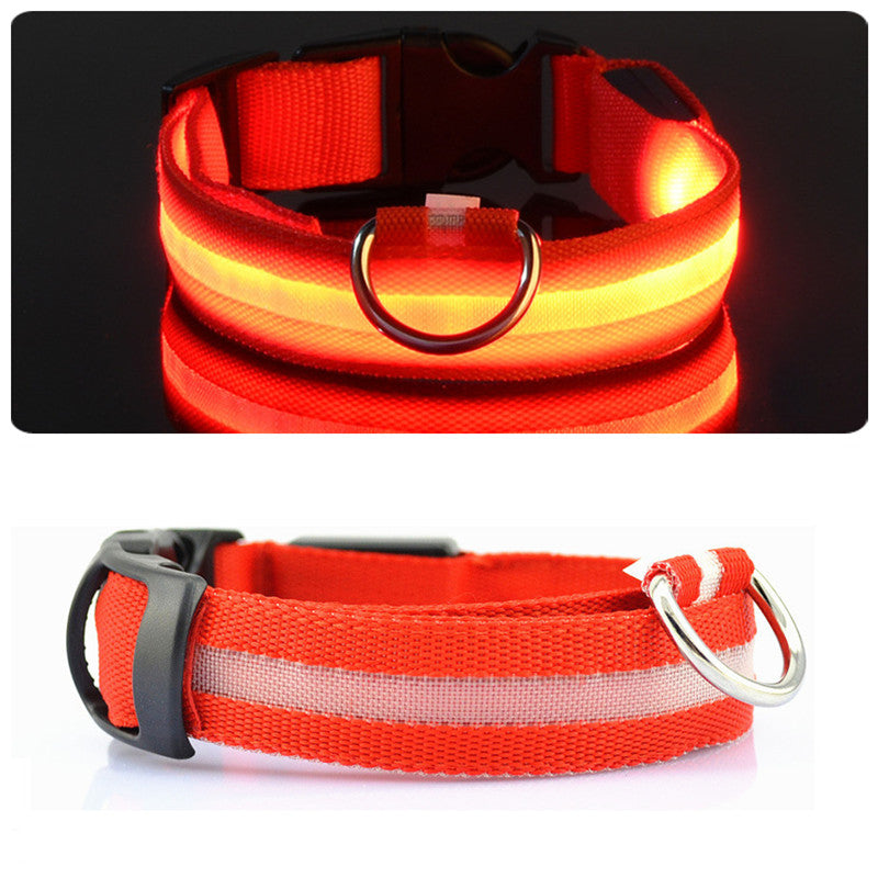 LED Dog Collar with Rechargeable Battery – Durable, Water-Resistant, and Adjustable for All Sizes 0