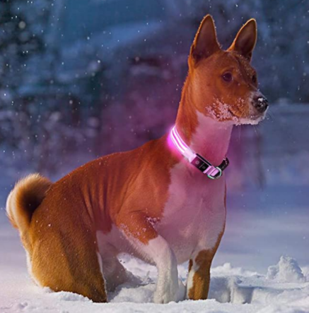 LED Dog Collar with Rechargeable Battery – Durable, Water-Resistant, and Adjustable for All Sizes 1