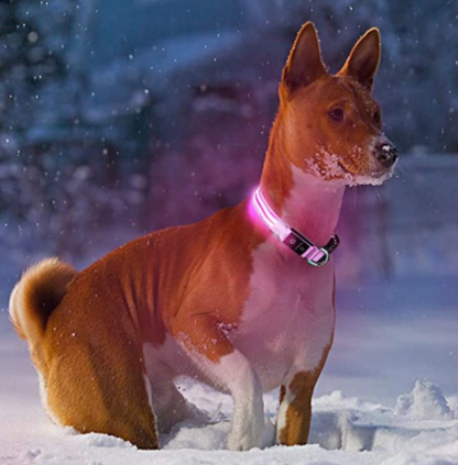 LED Dog Collar with Rechargeable Battery – Durable, Water-Resistant, and Adjustable for All Sizes 1