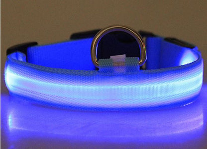 LED Dog Collar with Rechargeable Battery – Durable, Water-Resistant, and Adjustable for All Sizes 10