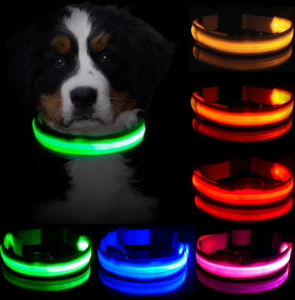 LED Dog Collar with Rechargeable Battery – Durable, Water-Resistant, and Adjustable for All Sizes 2