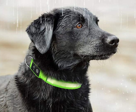 LED Dog Collar with Rechargeable Battery – Durable, Water-Resistant, and Adjustable for All Sizes 3