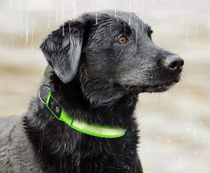 LED Dog Collar with Rechargeable Battery – Durable, Water-Resistant, and Adjustable for All Sizes 3