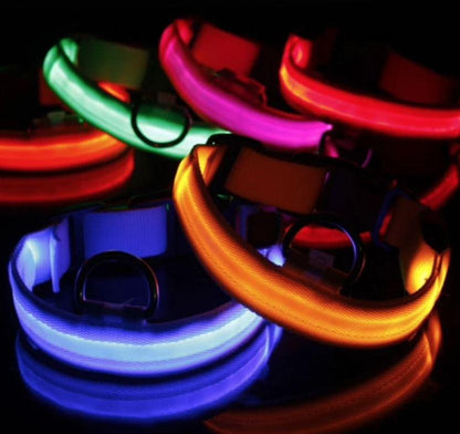 LED Dog Collar with Rechargeable Battery – Durable, Water-Resistant, and Adjustable for All Sizes 4