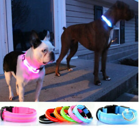 LED Dog Collar with Rechargeable Battery – Durable, Water-Resistant, and Adjustable for All Sizes 7